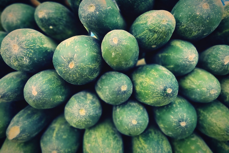 A close up shot of a lot of cucumbers. Doctors share 10 things not to put in your vagina or on your ...
